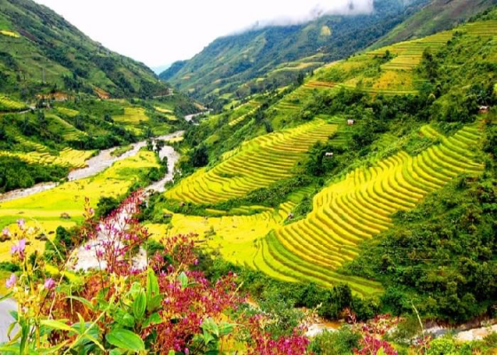 Tour Sài Gòn - Hà Nội - Sapa 4 Ngày