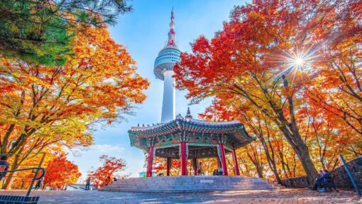 HÀNH TRÌNH KHÁM PHÁ XỬ SỞ KIM CHI