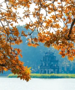 8 Days Across Vietnam: Heritage, Nature & Hidden Gems