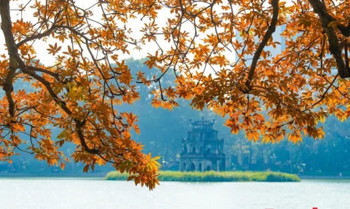 8 Days Across Vietnam: Heritage, Nature & Hidden Gems