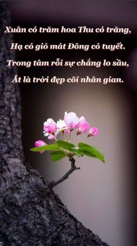 du lịch thiên di