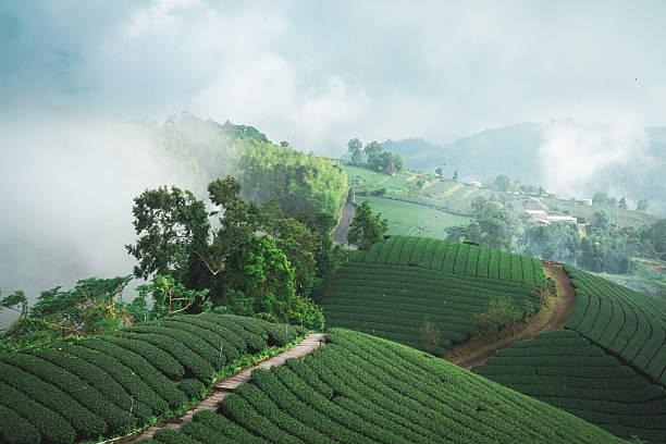 du lịch thiên di
